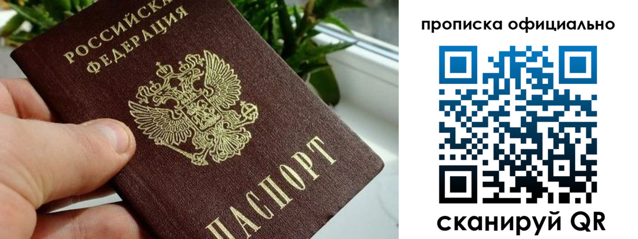 прописка поиск в Камчатском крае